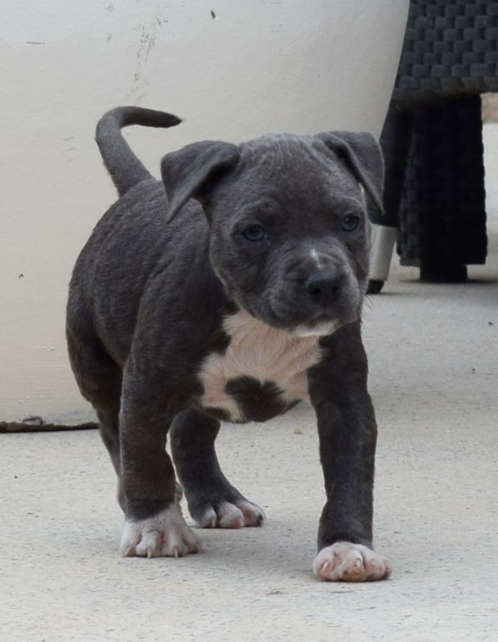 Des lys de solas - Les nouvelles photos...